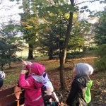 phoca_thumb_m_veverky 4 Fotogalerie